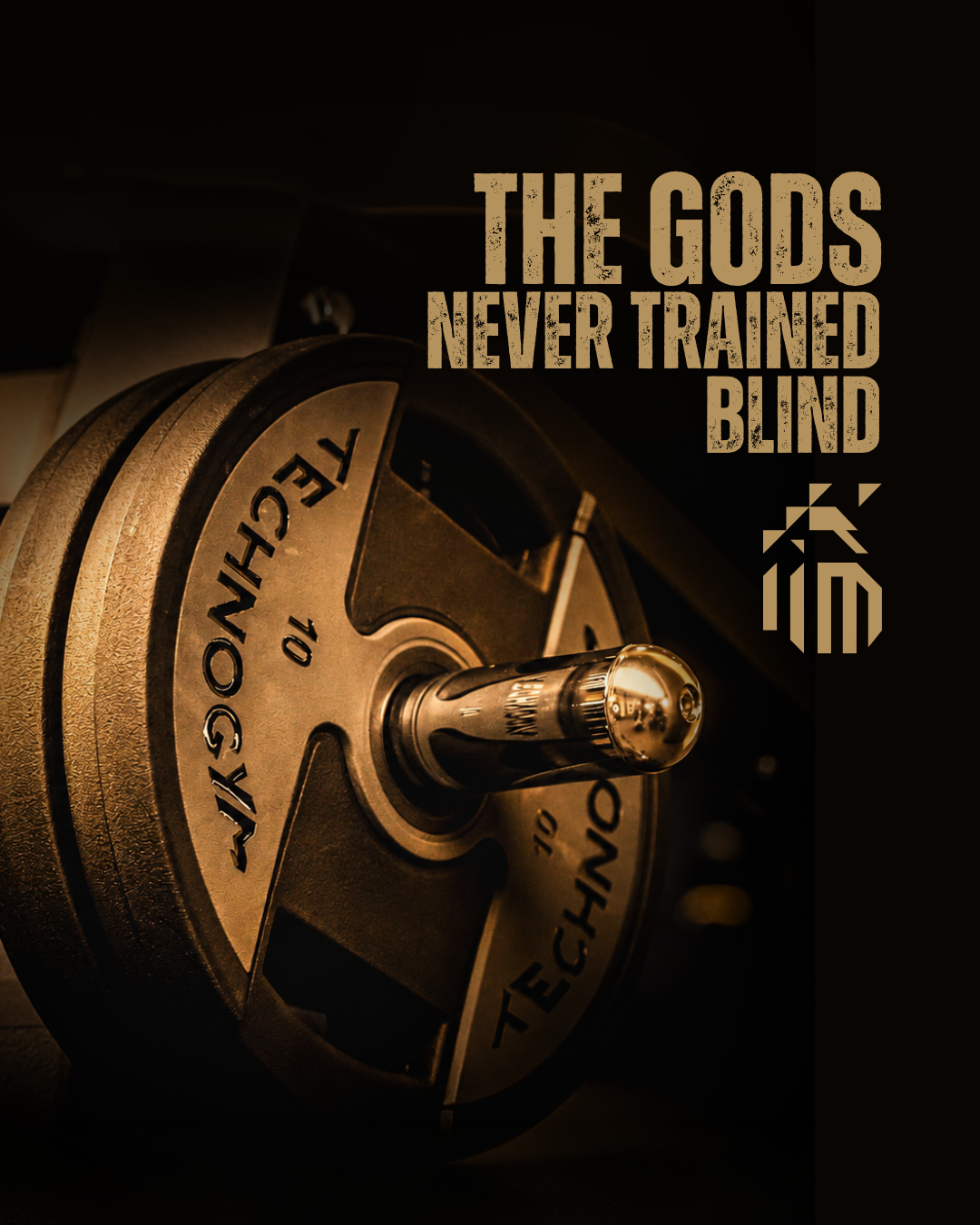 Mythos Technogym weight with the message the gods never trained blind